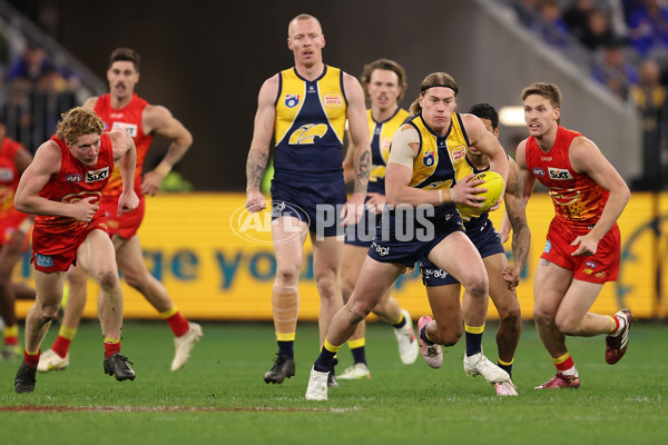 AFL 2024 Round 21 - West Coast v Gold Coast - A-52457766