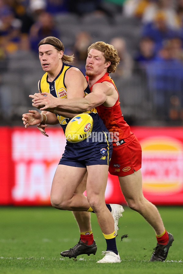 AFL 2024 Round 21 - West Coast v Gold Coast - A-52457772