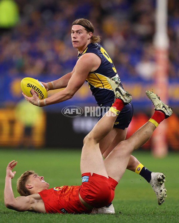 AFL 2024 Round 21 - West Coast v Gold Coast - A-52459417