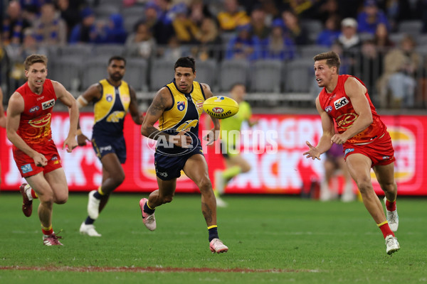 AFL 2024 Round 21 - West Coast v Gold Coast - A-52459437