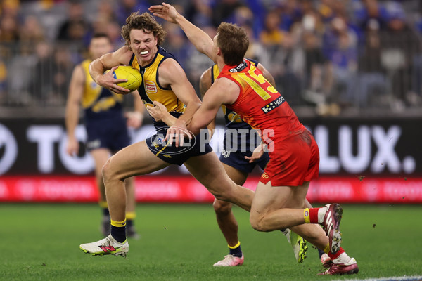 AFL 2024 Round 21 - West Coast v Gold Coast - A-52459474