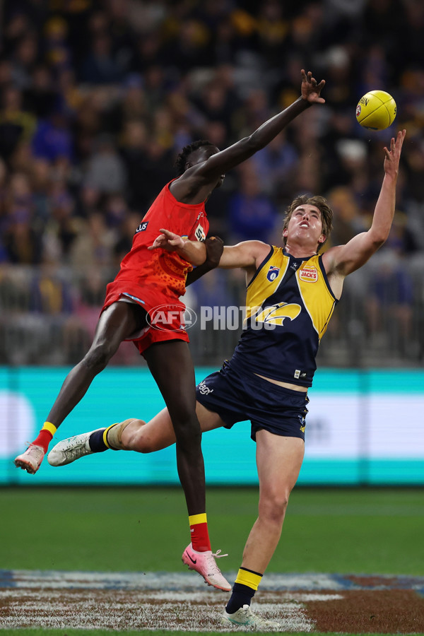 AFL 2024 Round 21 - West Coast v Gold Coast - A-52459490