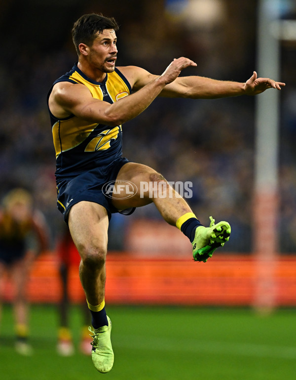 AFL 2024 Round 21 - West Coast v Gold Coast - A-52460591