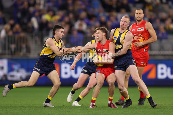 AFL 2024 Round 21 - West Coast v Gold Coast - A-52460599