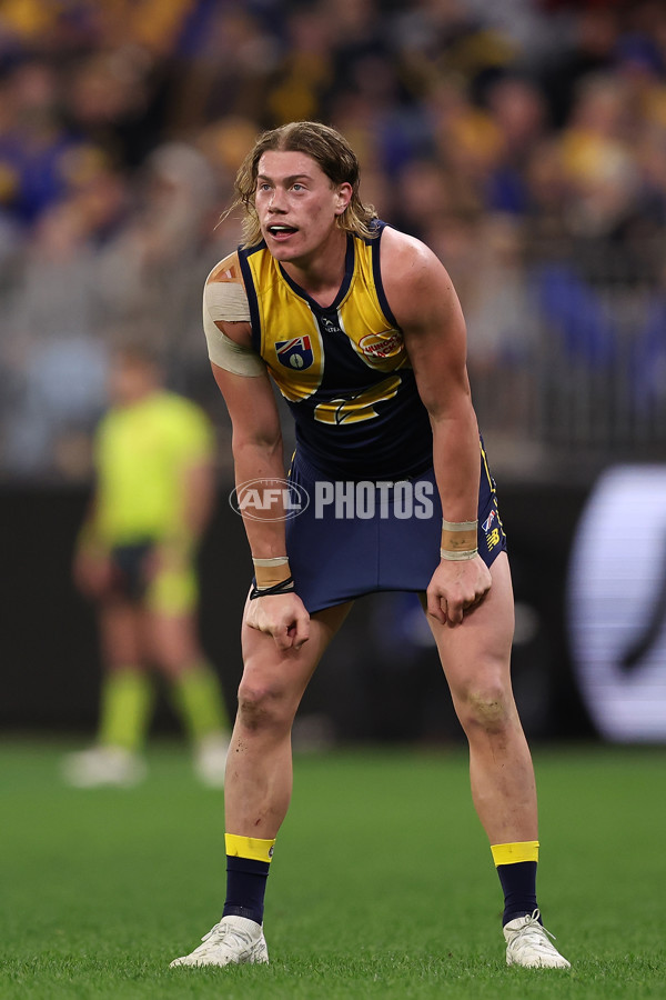 AFL 2024 Round 21 - West Coast v Gold Coast - A-52462035