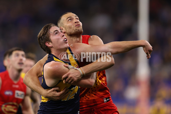 AFL 2024 Round 21 - West Coast v Gold Coast - A-52462036