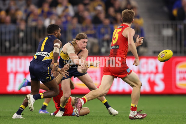 AFL 2024 Round 21 - West Coast v Gold Coast - A-52462043
