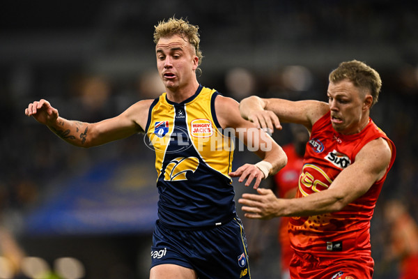AFL 2024 Round 21 - West Coast v Gold Coast - A-52462052