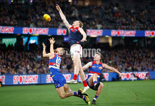 AFL 2024 Round 21 - Footscray v Melbourne - A-52462066