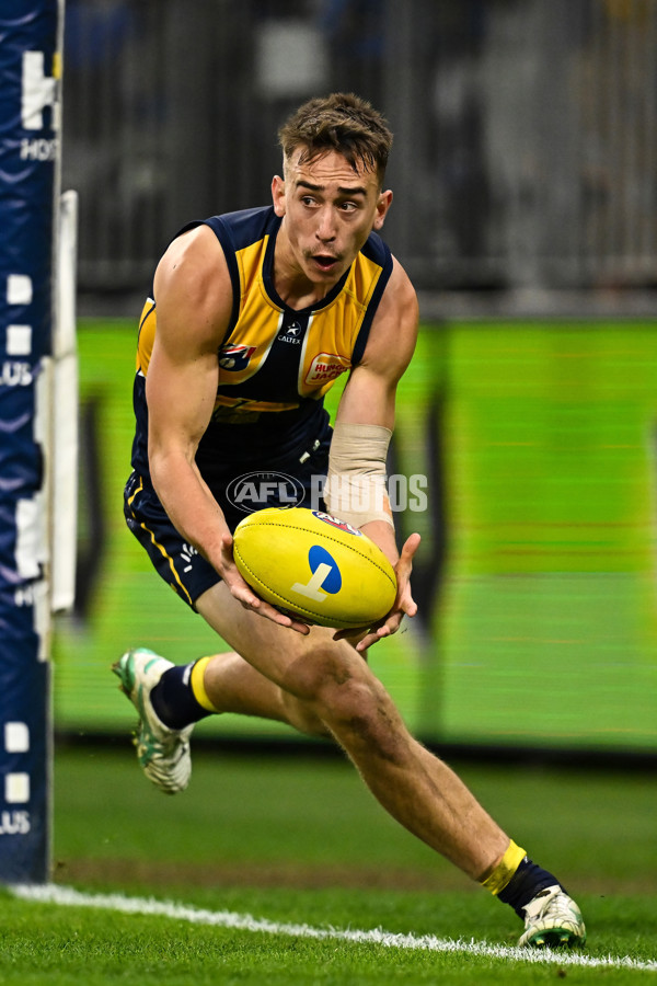 AFL 2024 Round 21 - West Coast v Gold Coast - A-52462084