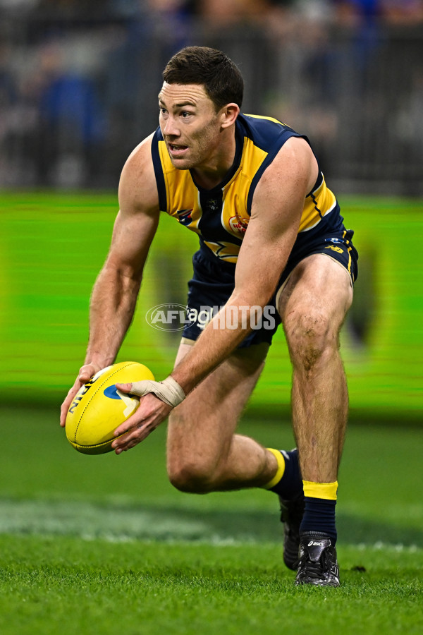 AFL 2024 Round 21 - West Coast v Gold Coast - A-52462085