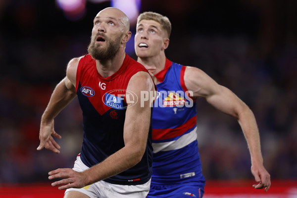 AFL 2024 Round 21 - Footscray v Melbourne - A-52462096