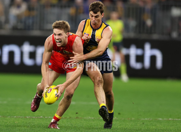 AFL 2024 Round 21 - West Coast v Gold Coast - A-52462123