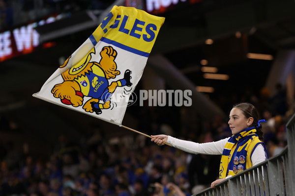AFL 2024 Round 21 - West Coast v Gold Coast - A-52462736