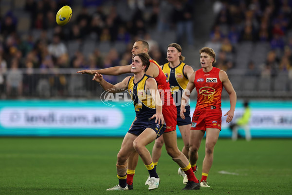 AFL 2024 Round 21 - West Coast v Gold Coast - A-52462737