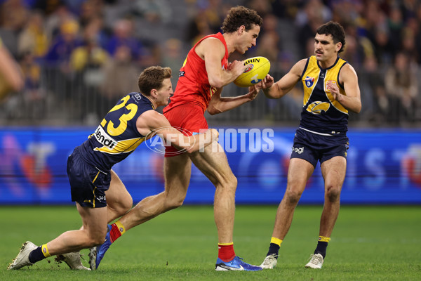 AFL 2024 Round 21 - West Coast v Gold Coast - A-52462751