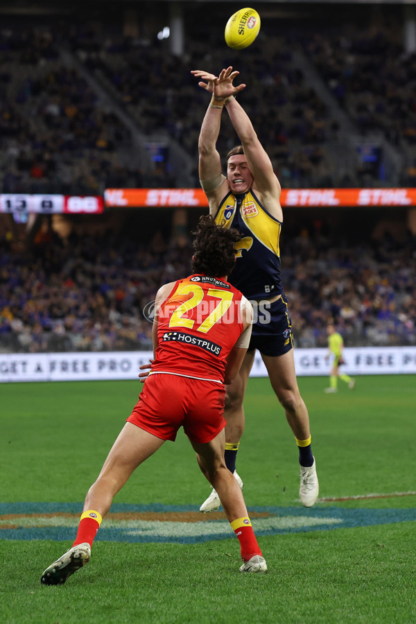 AFL 2024 Round 21 - West Coast v Gold Coast - A-52462756