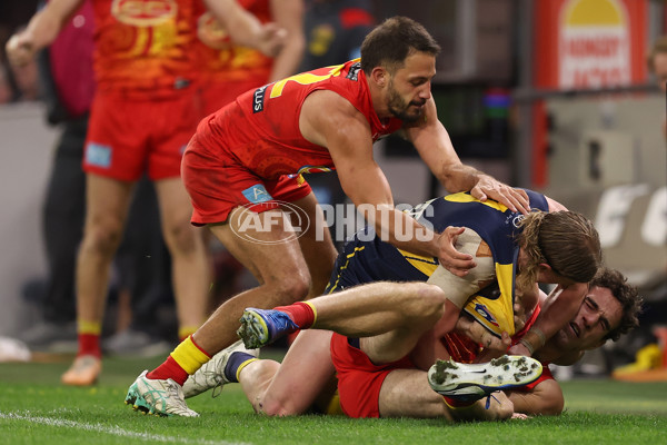 AFL 2024 Round 21 - West Coast v Gold Coast - A-52462766
