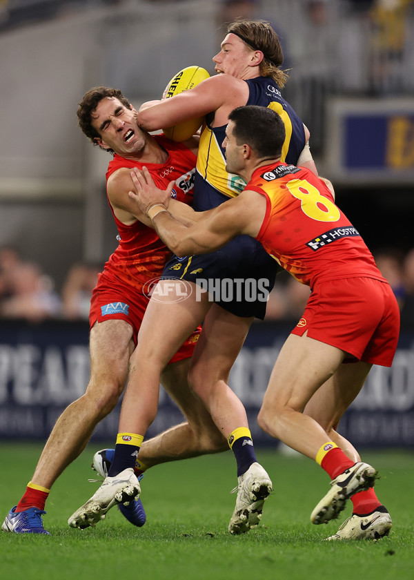 AFL 2024 Round 21 - West Coast v Gold Coast - A-52462771