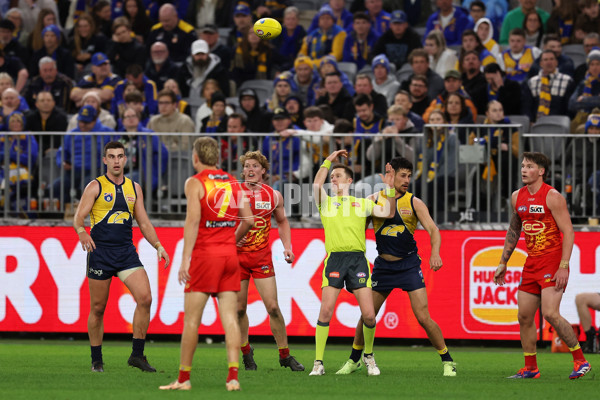 AFL 2024 Round 21 - West Coast v Gold Coast - A-52462804