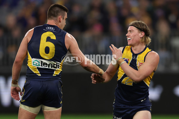 AFL 2024 Round 21 - West Coast v Gold Coast - A-52462816