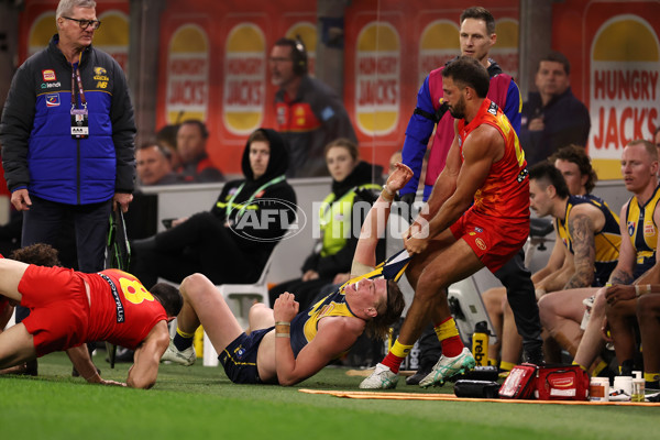 AFL 2024 Round 21 - West Coast v Gold Coast - A-52464728