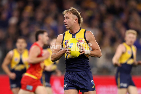 AFL 2024 Round 21 - West Coast v Gold Coast - A-52464739