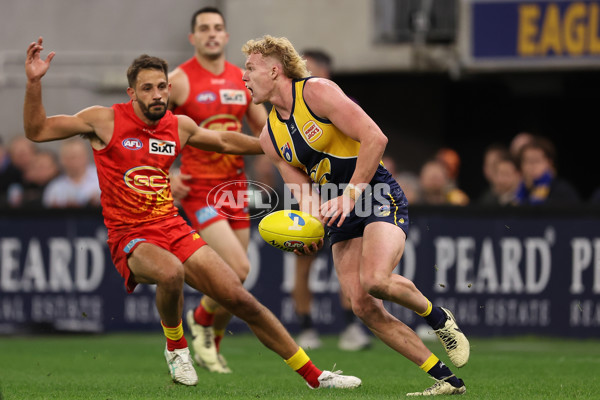 AFL 2024 Round 21 - West Coast v Gold Coast - A-52464742