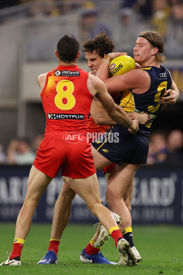 AFL 2024 Round 21 - West Coast v Gold Coast - A-52464743