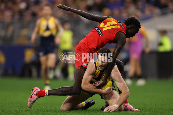AFL 2024 Round 21 - West Coast v Gold Coast - A-52464749