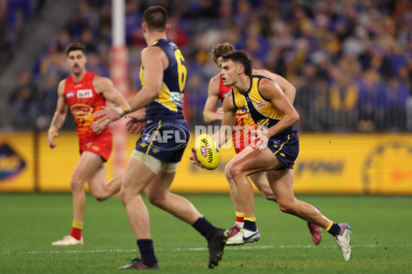 AFL 2024 Round 21 - West Coast v Gold Coast - A-52464752