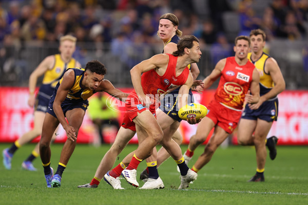 AFL 2024 Round 21 - West Coast v Gold Coast - A-52467587