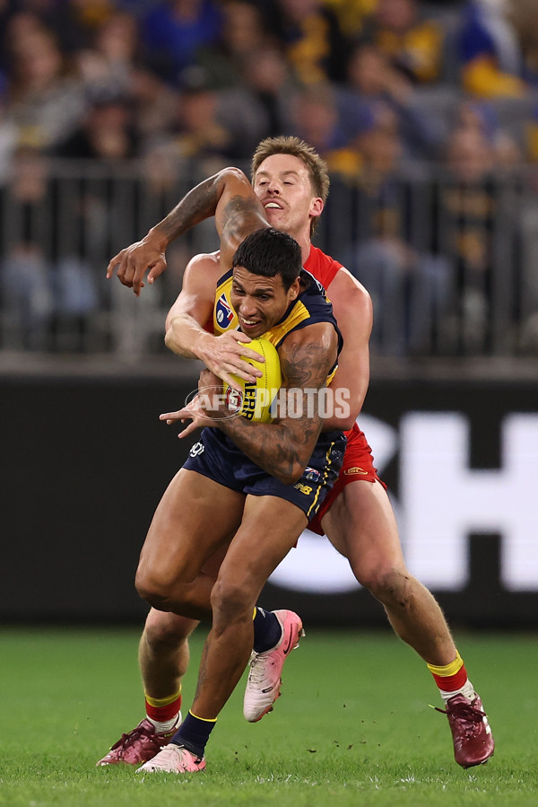 AFL 2024 Round 21 - West Coast v Gold Coast - A-52467589
