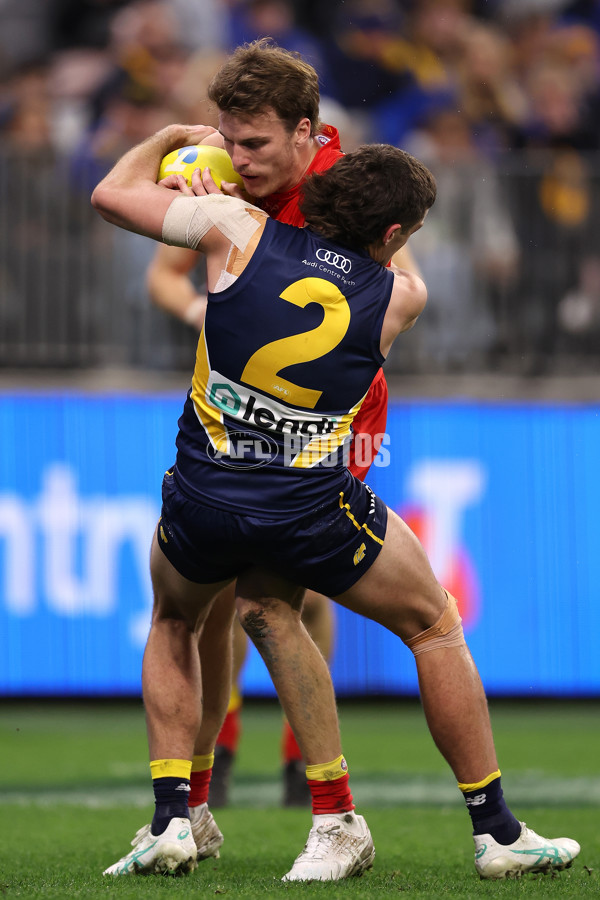 AFL 2024 Round 21 - West Coast v Gold Coast - A-52467601