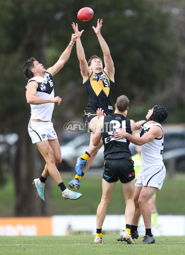 VFL 2024 Round 19 - Werribee v Southport - A-52467609