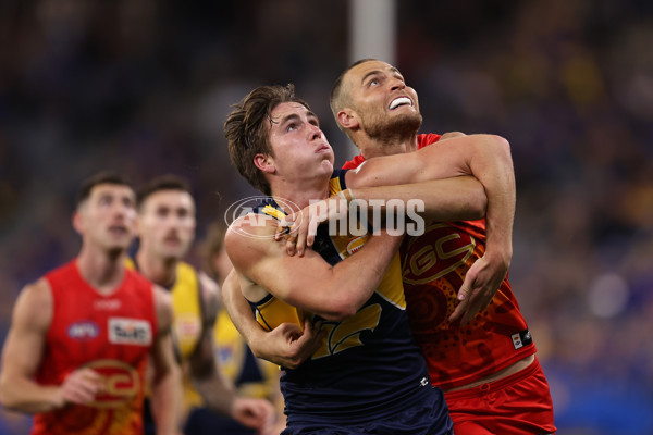 AFL 2024 Round 21 - West Coast v Gold Coast - A-52467683
