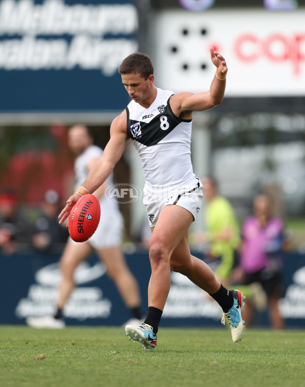 VFL 2024 Round 19 - Werribee v Southport - A-52467692