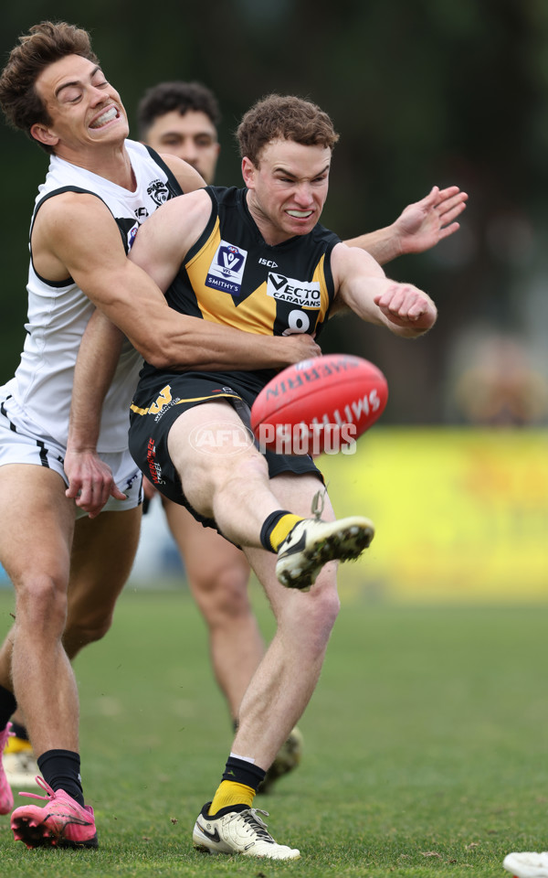 VFL 2024 Round 19 - Werribee v Southport - A-52467693