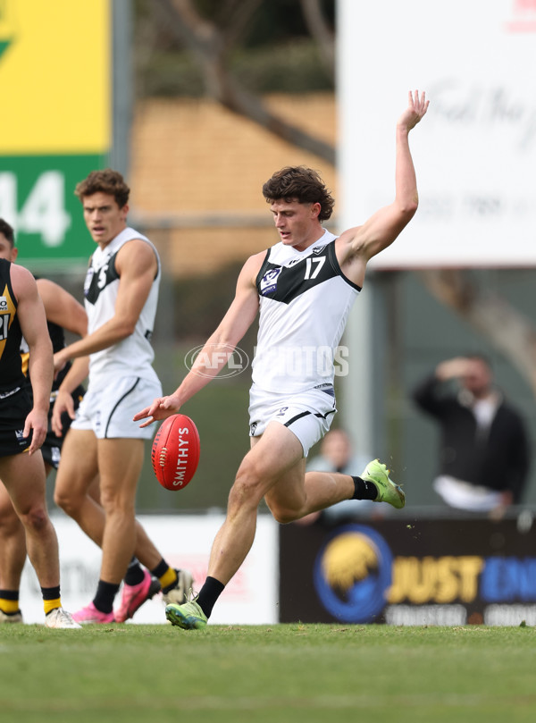 VFL 2024 Round 19 - Werribee v Southport - A-52467740