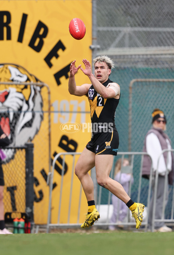 VFL 2024 Round 19 - Werribee v Southport - A-52467748