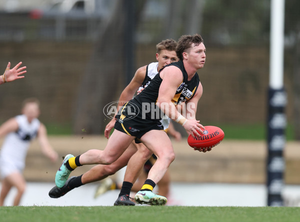 VFL 2024 Round 19 - Werribee v Southport - A-52467749