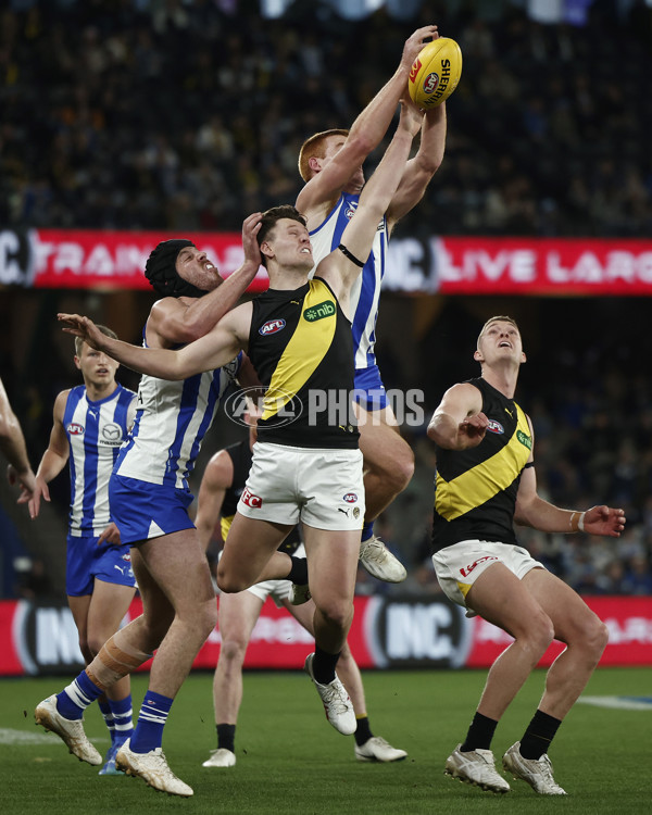 AFL 2024 Round 21 - North Melbourne v Richmond - A-52470697