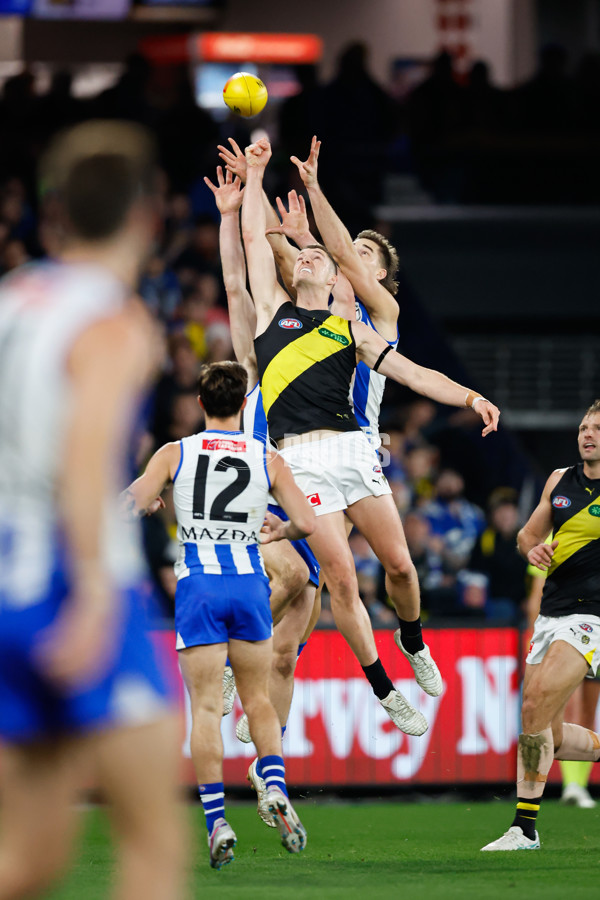 AFL 2024 Round 21 - North Melbourne v Richmond - A-52472624