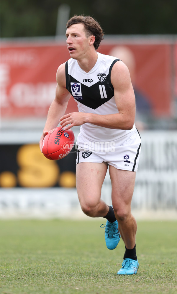 VFL 2024 Round 19 - Werribee v Southport - A-52475539