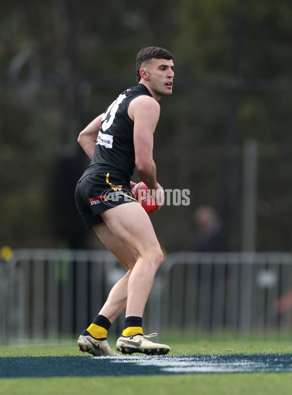 VFL 2024 Round 19 - Werribee v Southport - A-52476095