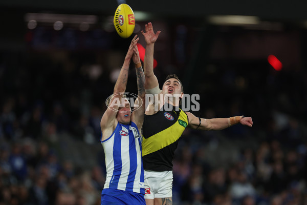 AFL 2024 Round 21 - North Melbourne v Richmond - A-52478532