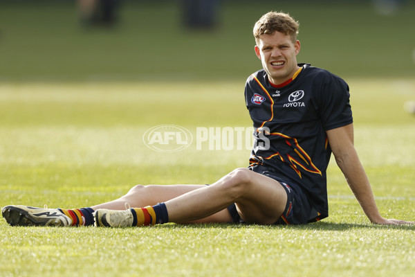 AFL 2024 Round 21 - Geelong v Adelaide - A-52478536