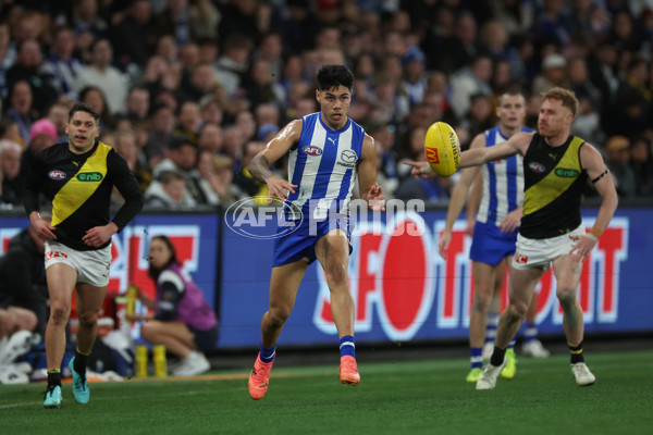 AFL 2024 Round 21 - North Melbourne v Richmond - A-52478542