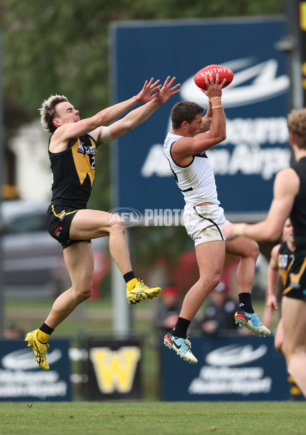 VFL 2024 Round 19 - Werribee v Southport - A-52481574