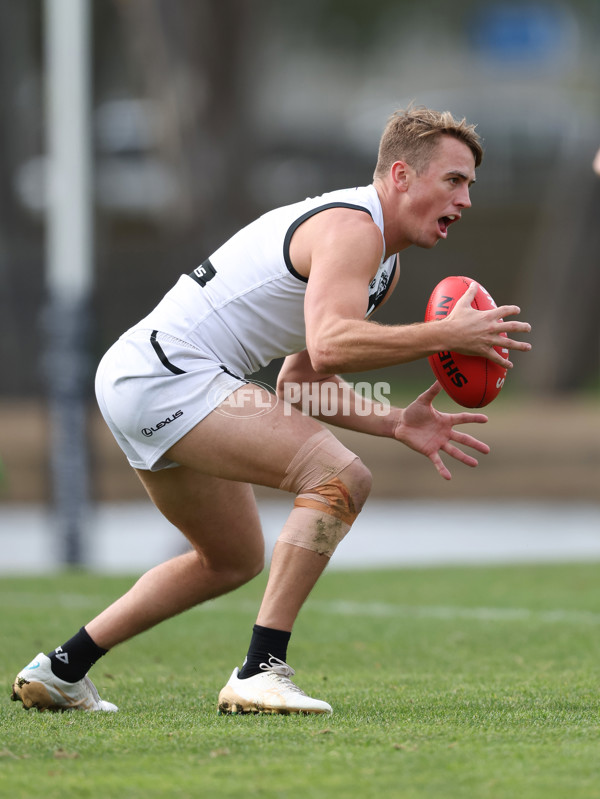 VFL 2024 Round 19 - Werribee v Southport - A-52481576